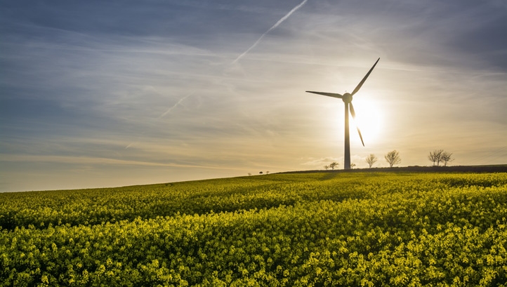 The 25 Year Environment Plan: reasons to look on the bright side